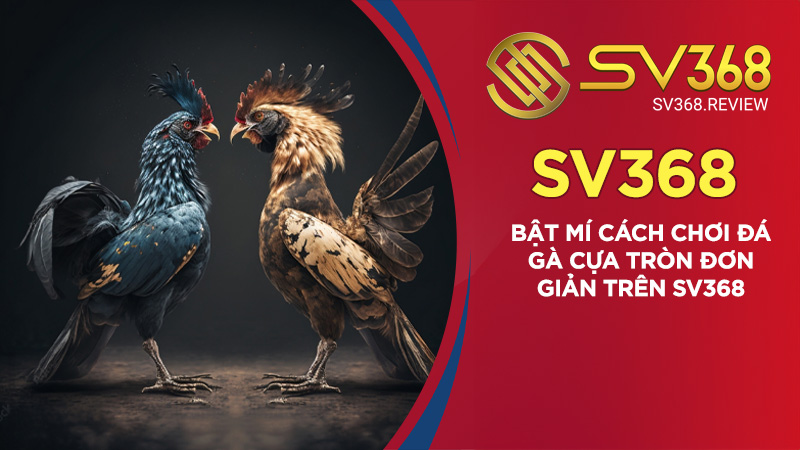 Bật mí cách chơi đá gà cựa tròn đơn giản trên SV368